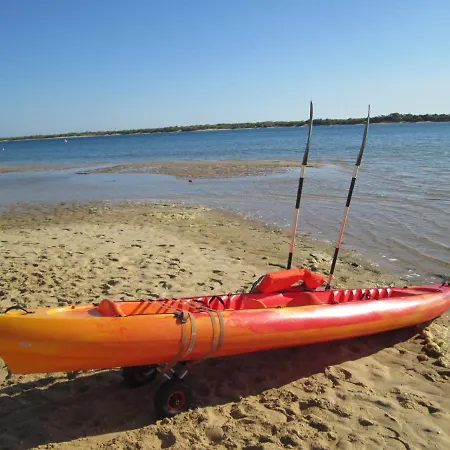 Disfruta Del Paraiso En Primera Linea De Playa Con Kayak Y Paddle Surf