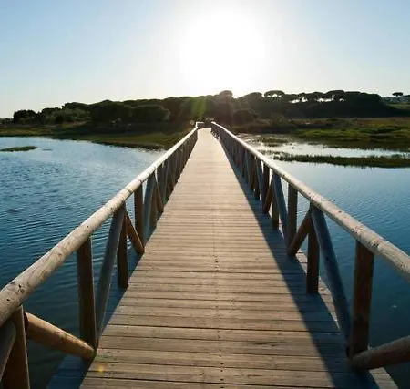 Disfruta Del Paraiso En Primera Linea De Playa Con Kayak Y Paddle Surf El Rompido